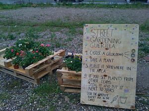 Speed Gardening Guerrilla.jpg